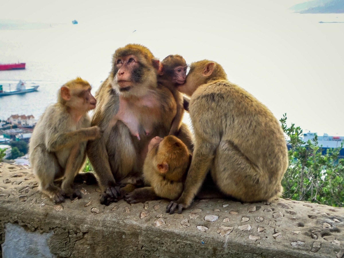 E5877A85-25A1-4C83-8A90-11955B664A82