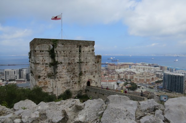 03D2506E-EEB2-4E96-AD3C-4BA7754E1023