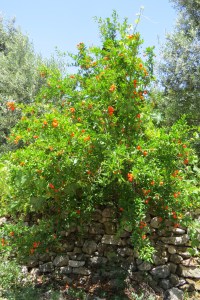 417FB4C7-A75A-4933-9232-8D9146021E20