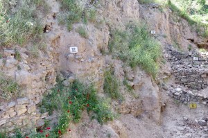 507007B3-7F24-446E-933B-2FFE2C329592