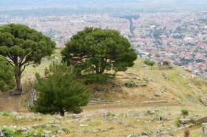 5B42278D-6C47-482F-9AE9-E8CADD7E6496