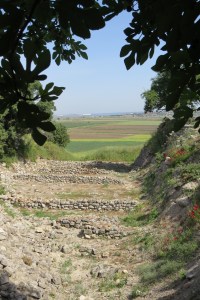 64FDD6AA-B8F3-497B-A738-712301298F8C