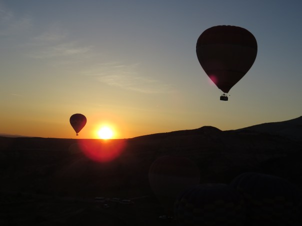 3634CF13-4662-40E9-B6C7-3705790FB9F1