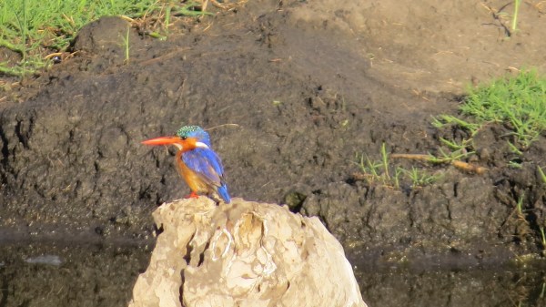 4592B810-31BC-4AB8-A2D6-1785B16443DF