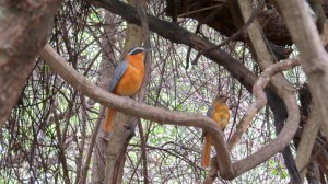 66A54F23-B0E5-4883-9A19-7B9523464E80