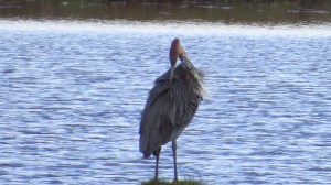 7E568ED6-F5B2-41CD-AC3C-7F51D0EB64CB