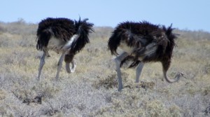 965E93D8-E013-4B62-8744-B71CF9887E89