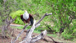 A6C4F133-9D2E-45B7-A870-64D891BAF7B4