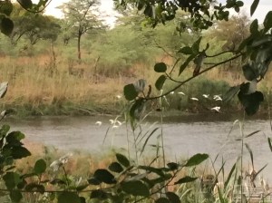 AC5E0A16-7A82-48C0-A129-7F6D94A4140D