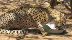 AC9D569F-FF8B-4566-BC35-EB2A487776BF