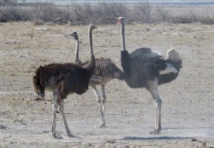 B4C6E64A-AA64-4432-90E9-7DBCF5CD6720