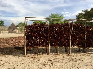 C4EC2374-E586-4934-A612-03D7AA715E26