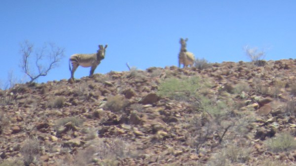 C8662DFB-AC58-4ADE-86DA-8CC10CCB6A73