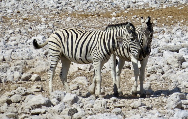 D2279B4B-3046-464F-9996-731CE8943C07