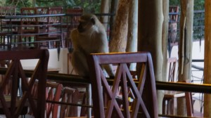 E5EA676A-4953-4503-B20F-322B7C4C753A