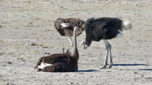 ED0BC153-3E15-4223-B320-D21C30196DF0