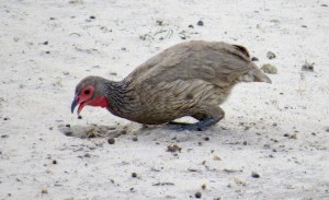 ED708F69-DA50-481C-9BD0-1A7A10061E16