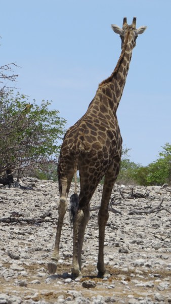 F7ECB4FE-4BCC-48D0-B3A3-00BB790FBE52