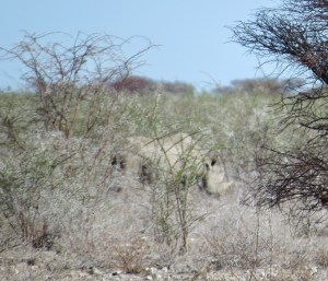 FCFB8D73-EAE8-4487-952E-45024041AAE4