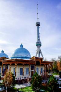 3DF9E6FE-81A0-4D3E-BB58-852C1EEE45C7